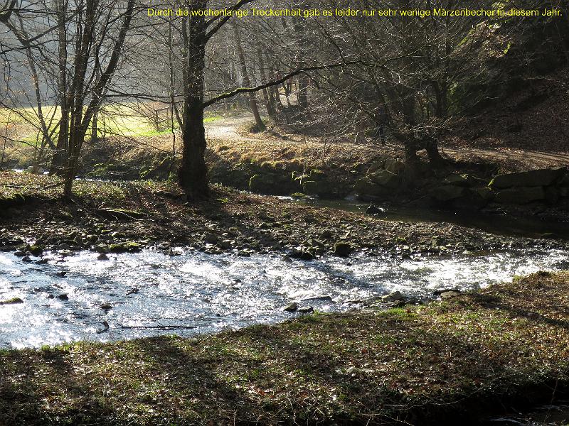 2014-03-09,_Polenztal (2).jpg